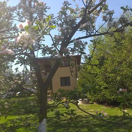 Eden * Visoko